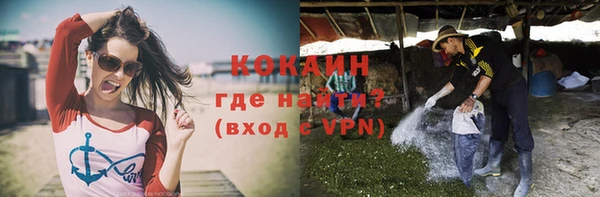 мет Вяземский