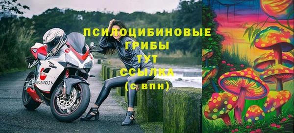 мет Вяземский
