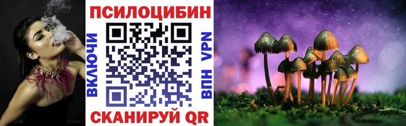 Купить закладки  Рассказово  Галлюциногенные грибы мухоморы 